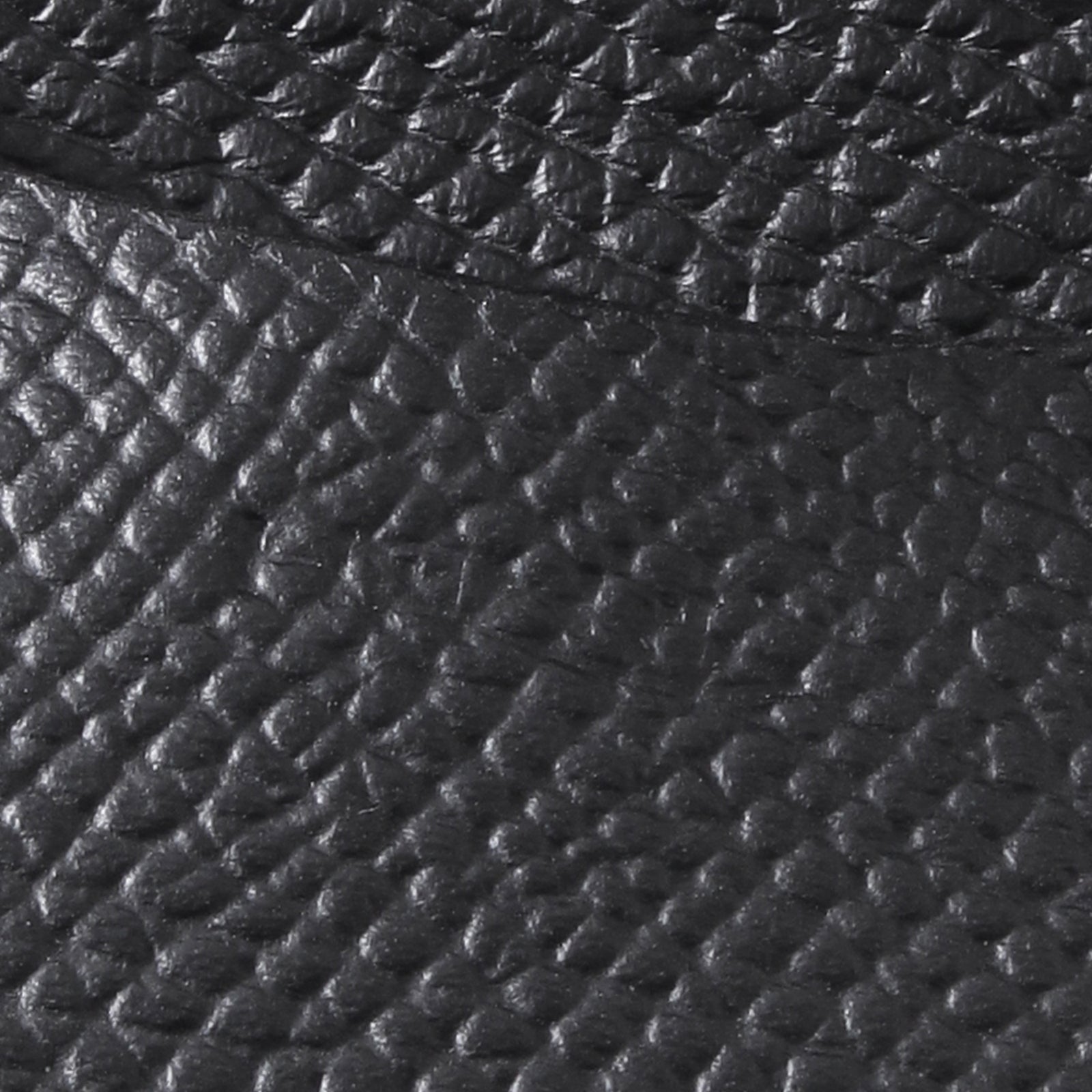 T・MBH 葉合せコインケース ポロサスクロコダイル【MASTERPLAN